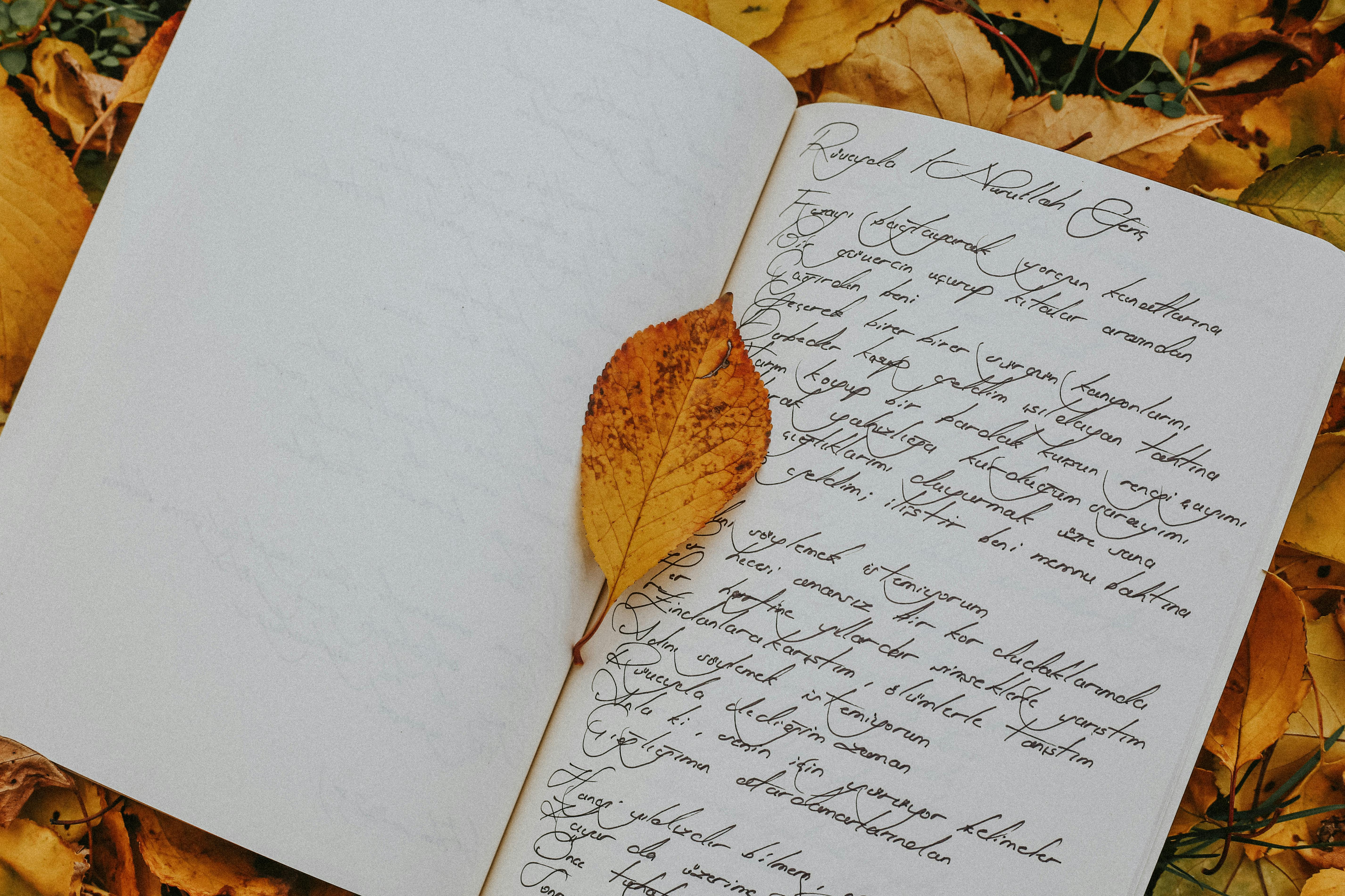 Inspiracja do tworzenia wyjątkowych tekstów