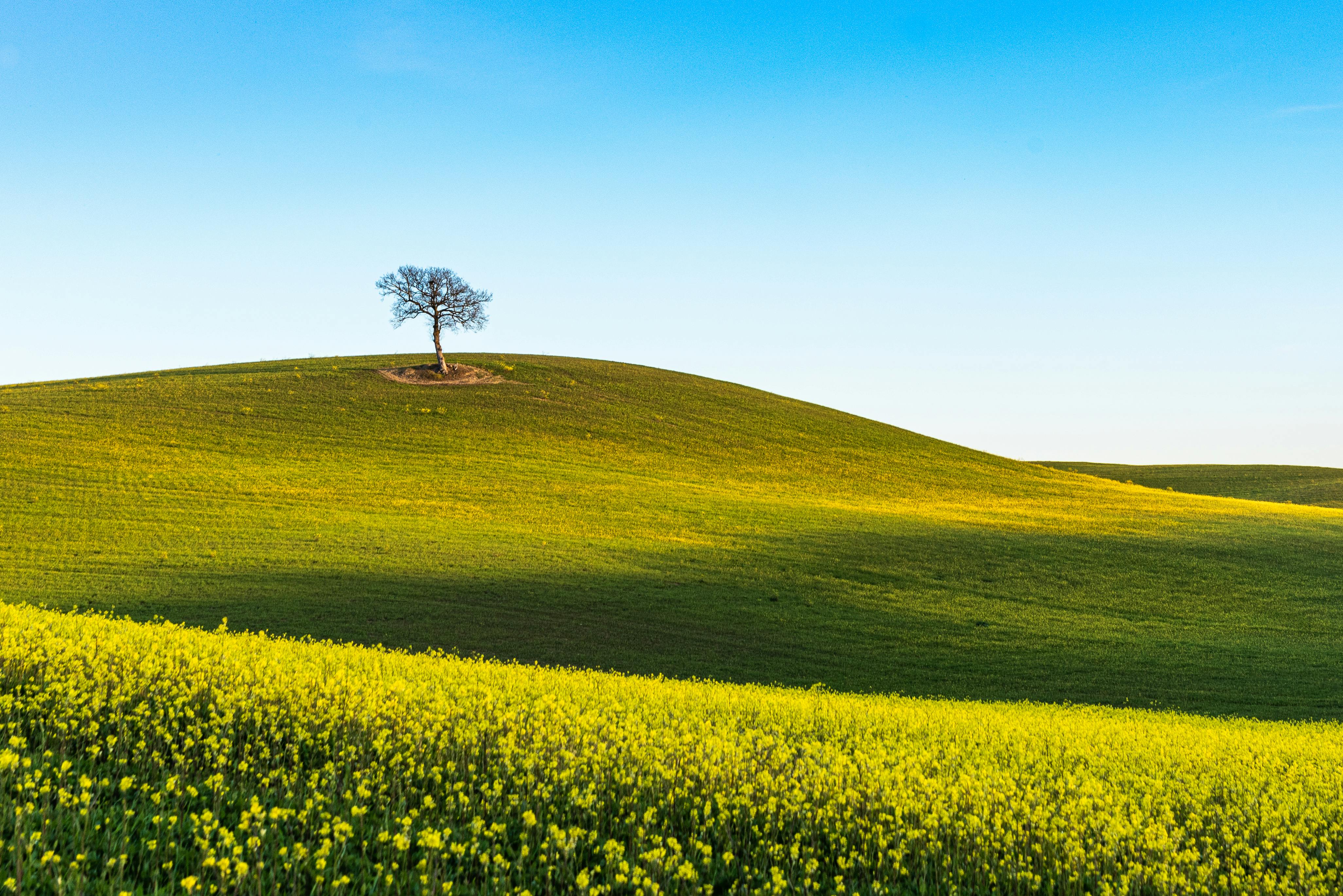 Tworzenie tekstu okolicznościowego